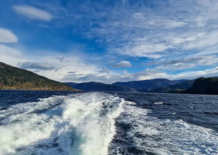 Ks Modern & Cozy Flat 20 Min From Centre * Bergen