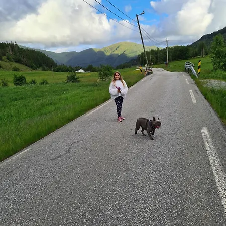 Ks Modern & Cozy Flat 20 Min From Centre Bergen