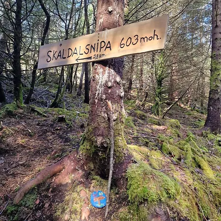 Ks Modern & Cozy Flat 20 Min From Centre * Bergen