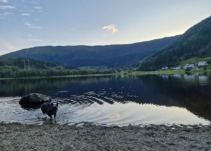 Ks Modern & Cozy Flat 20 Min From Centre Appartement Bergen