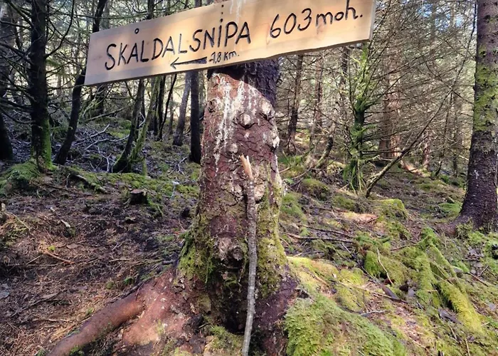 Ks Modern & Cozy Flat 20 Min From Centre * Берген