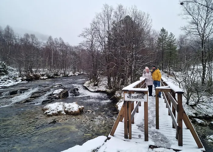 Ks Modern & Cozy Flat 20 Min From Centre Апартаменты Берген